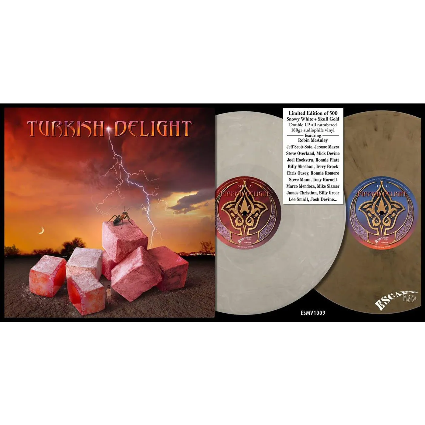 TURKISH DELIGHT Volume One Vinyl Record