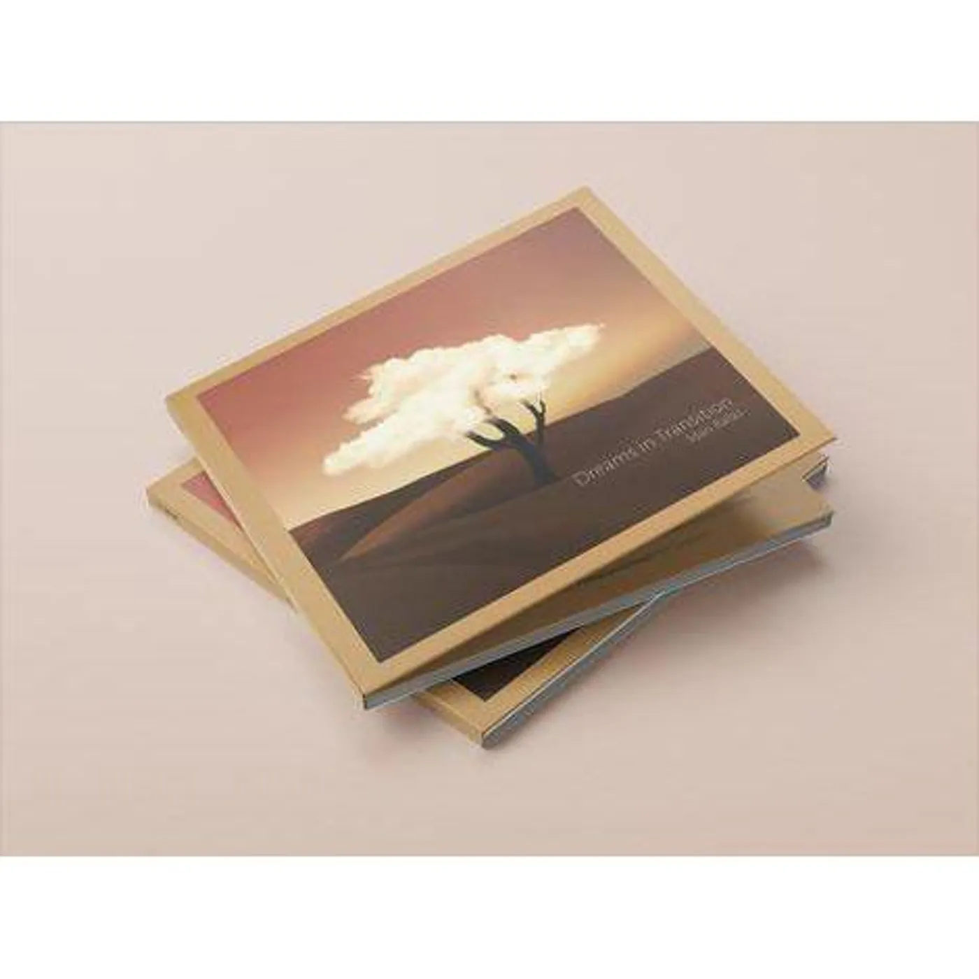 Idan Balas Dreams in Transition CD