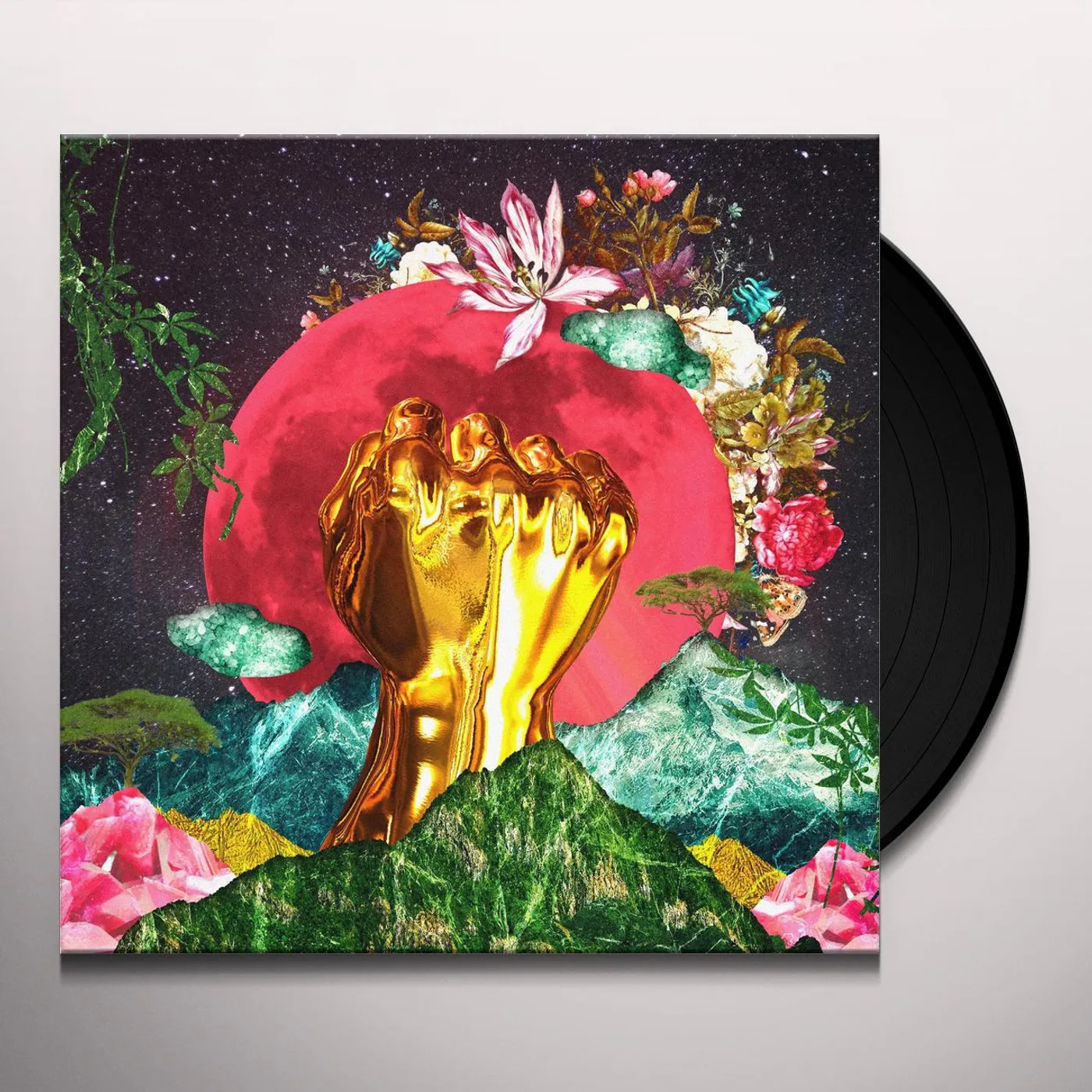 Rina Mushonga In A Galaxy Vinyl Record