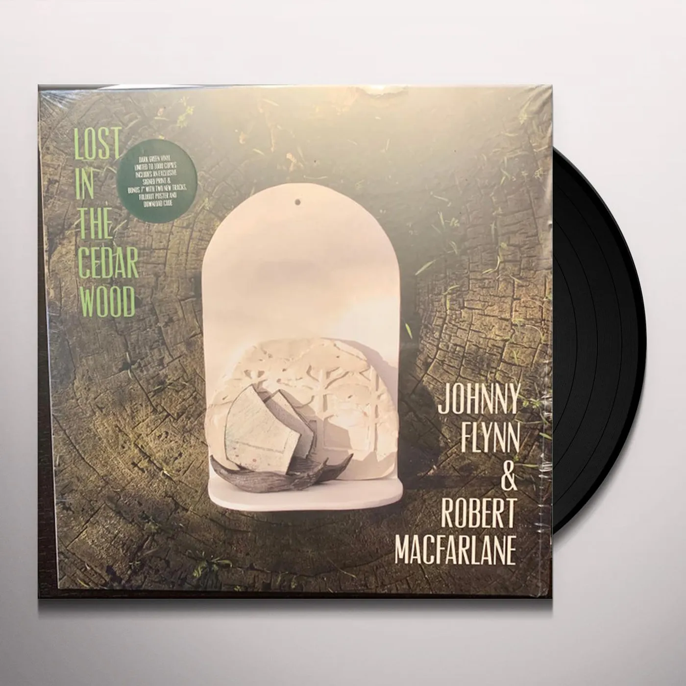 Johnny Flynn Lost in the Cedar Wood Vinyl Record