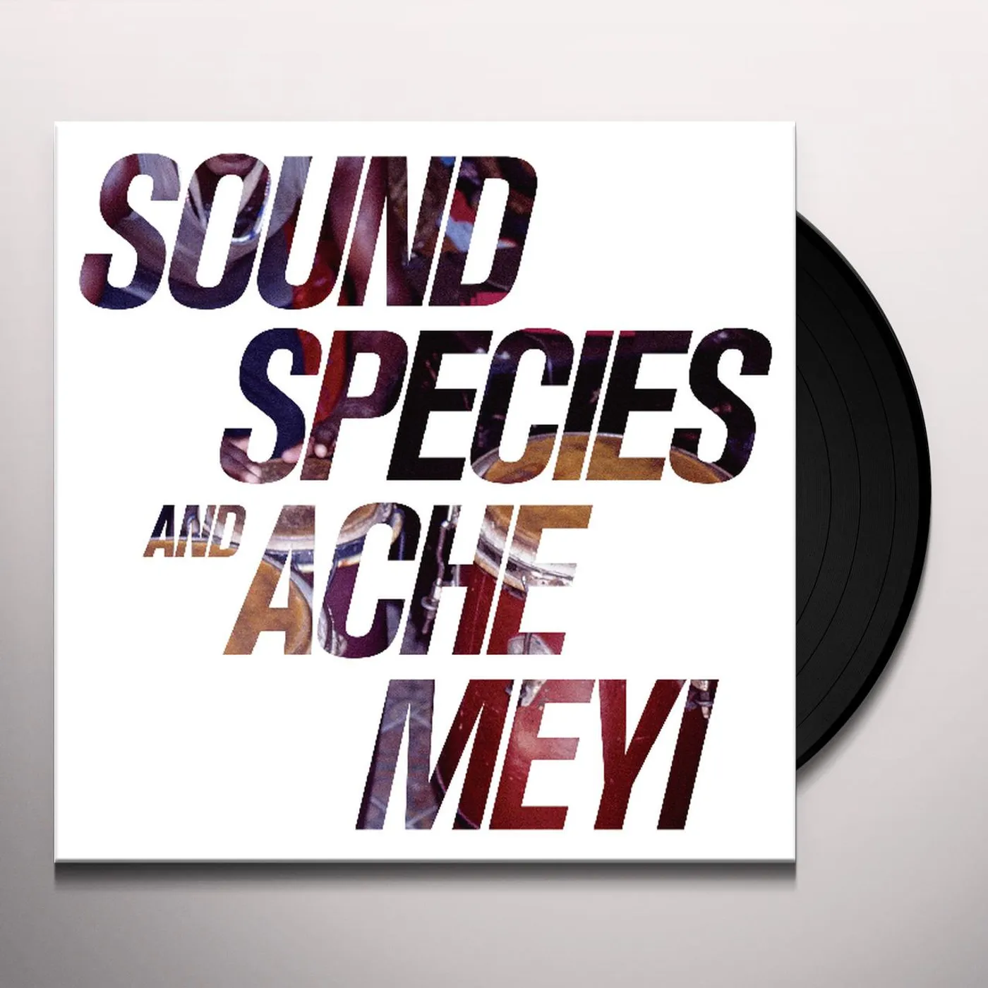 Soundspecies & Ache Meyi