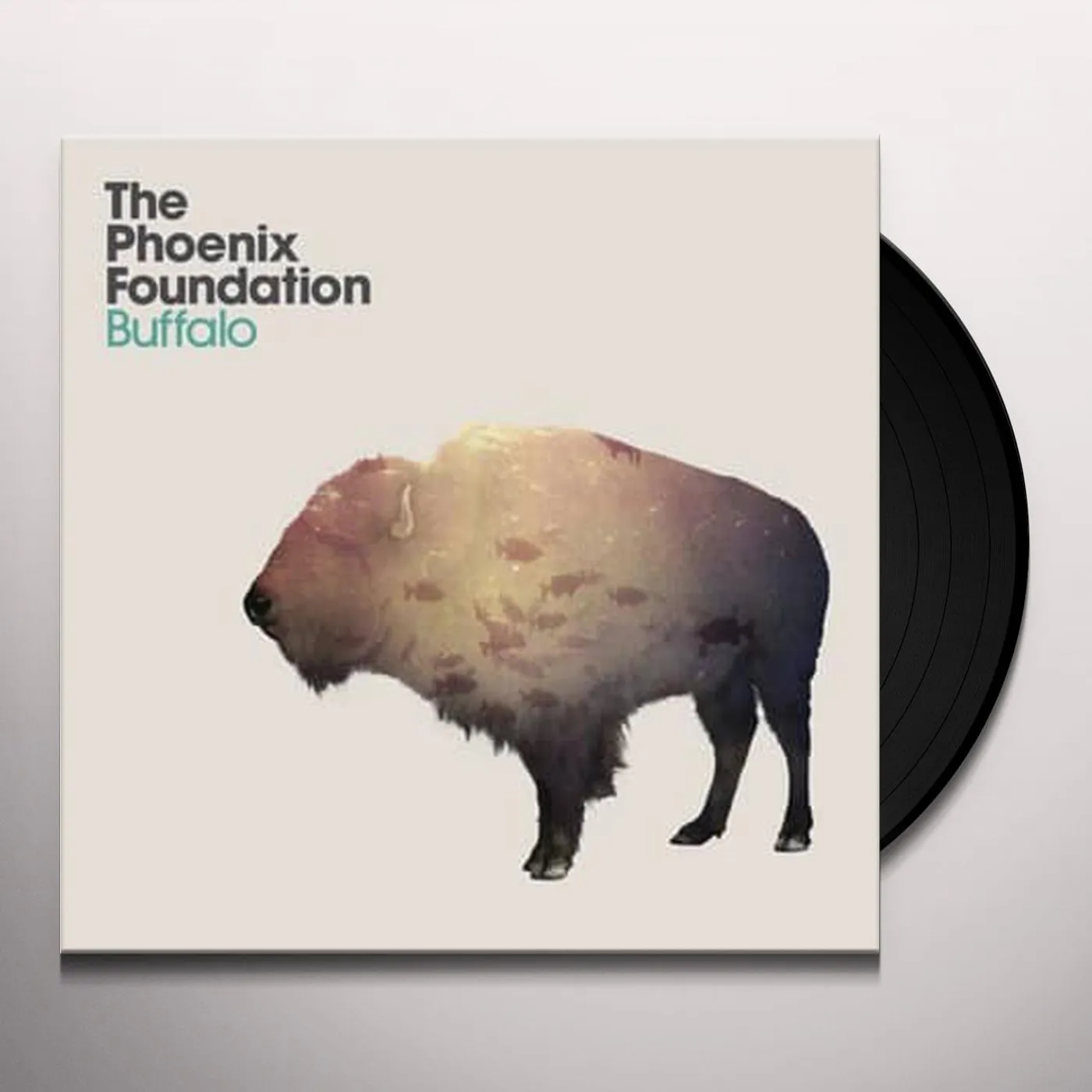 Phoenix Foundation Buffalo Vinyl Record