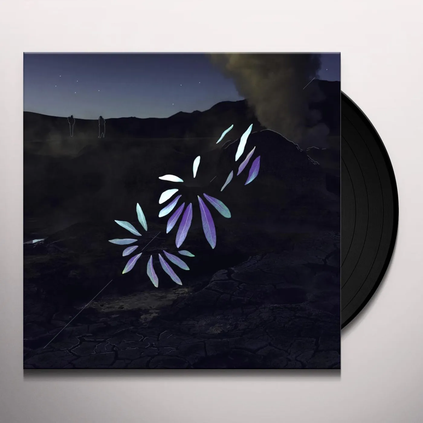 Renard Blanc Nuit Vinyl Record