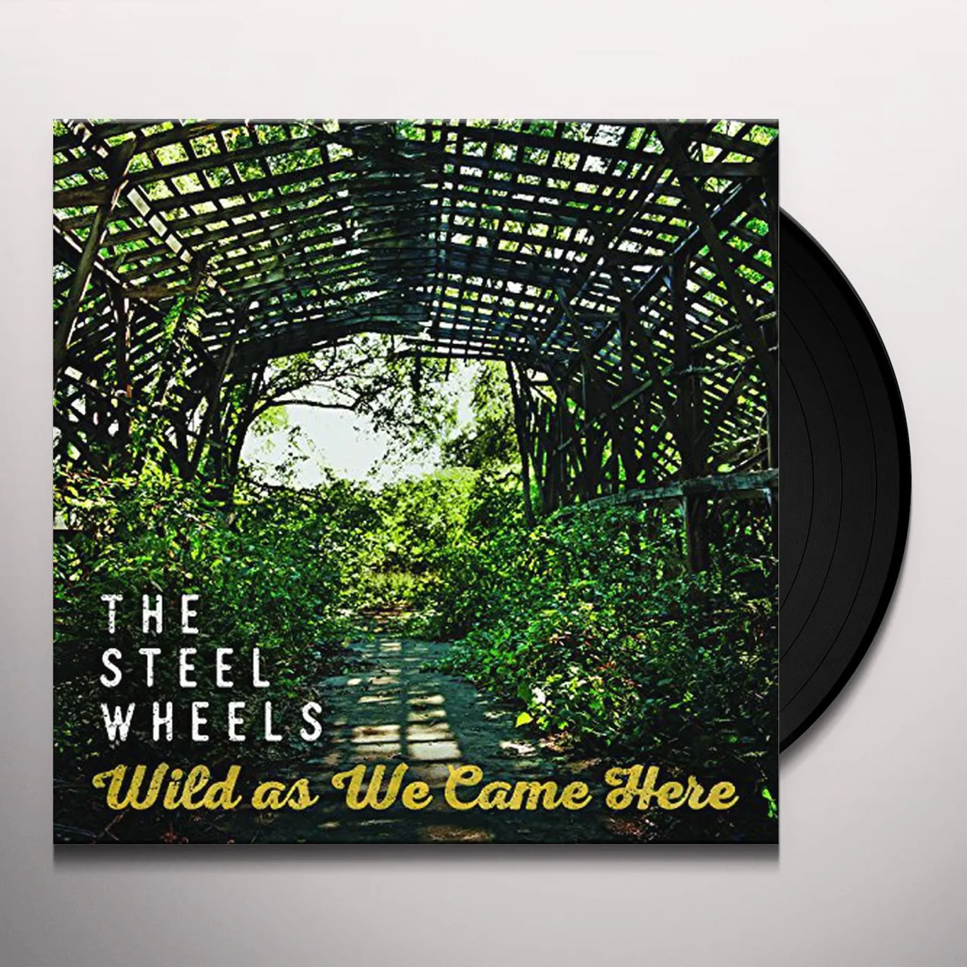 The Steel Wheels Wild as We Came Here Vinyl Record
