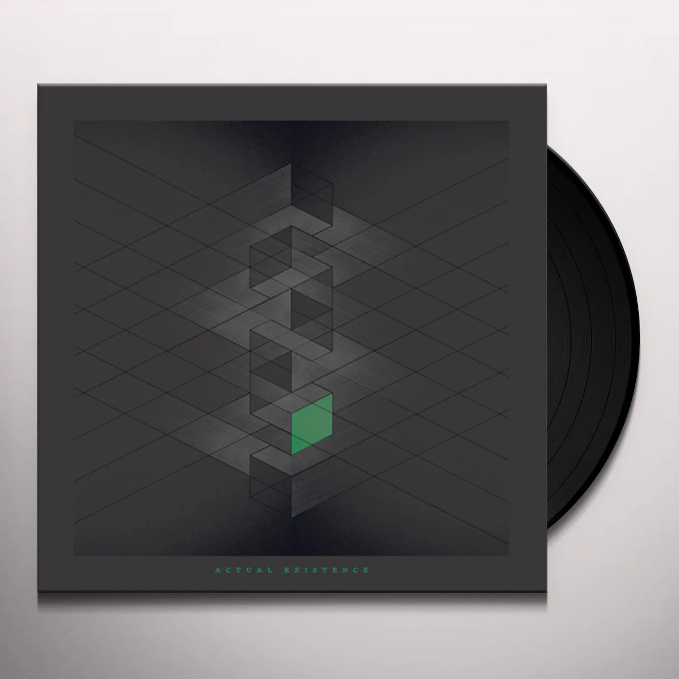 RLYR Actual Existence Vinyl Record
