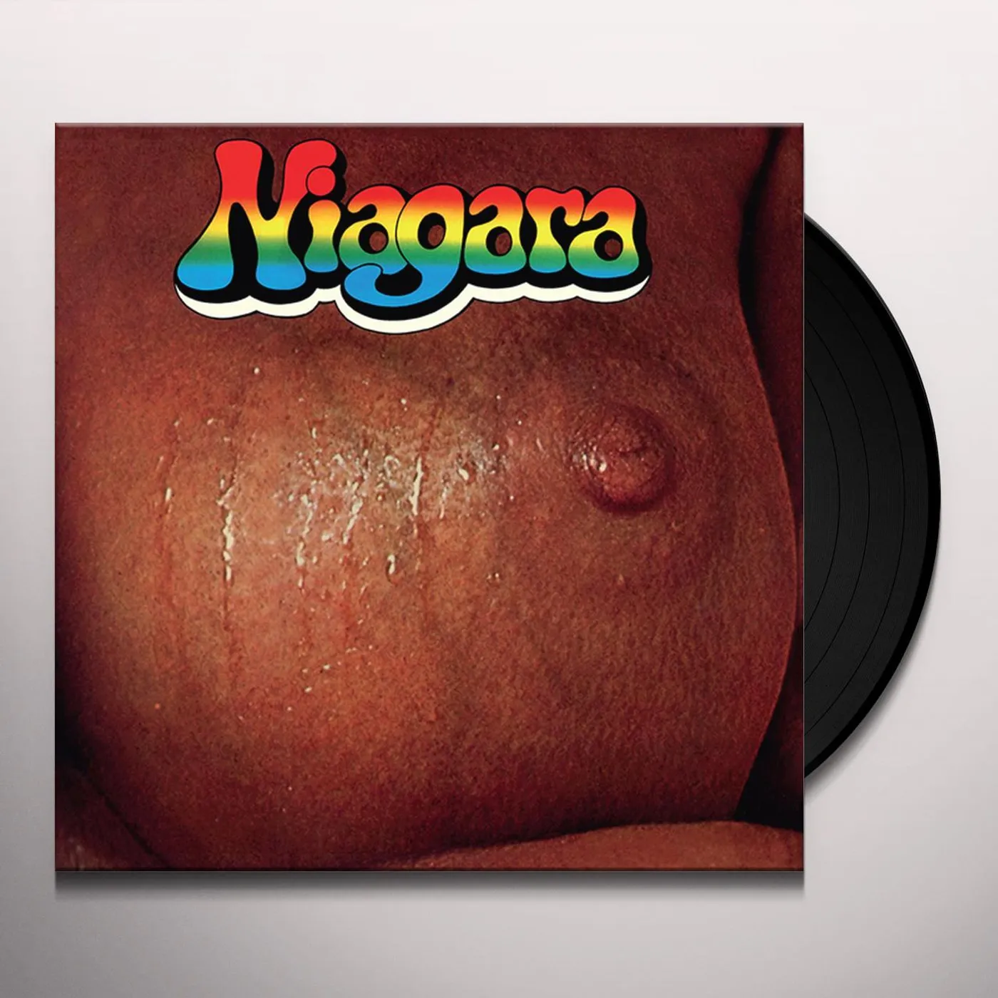 Niagara Vinyl Record