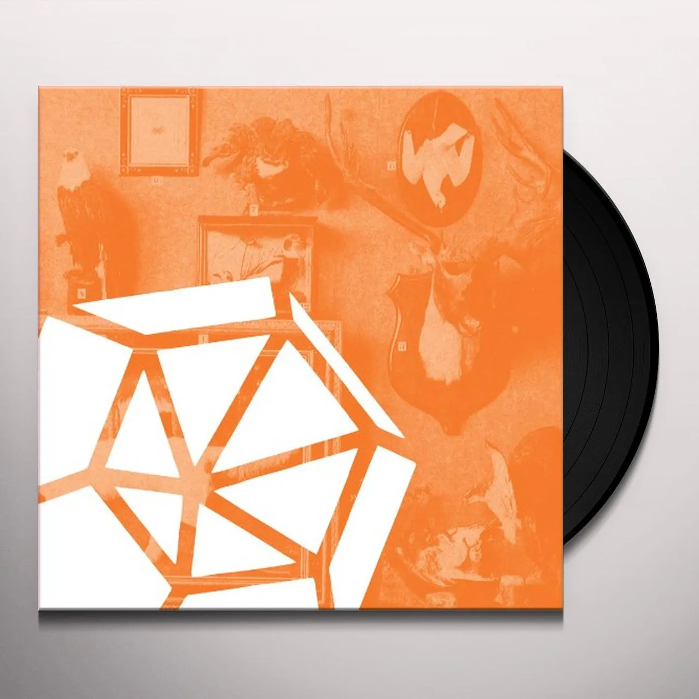 All Tiny Creatures Segni Vinyl Record