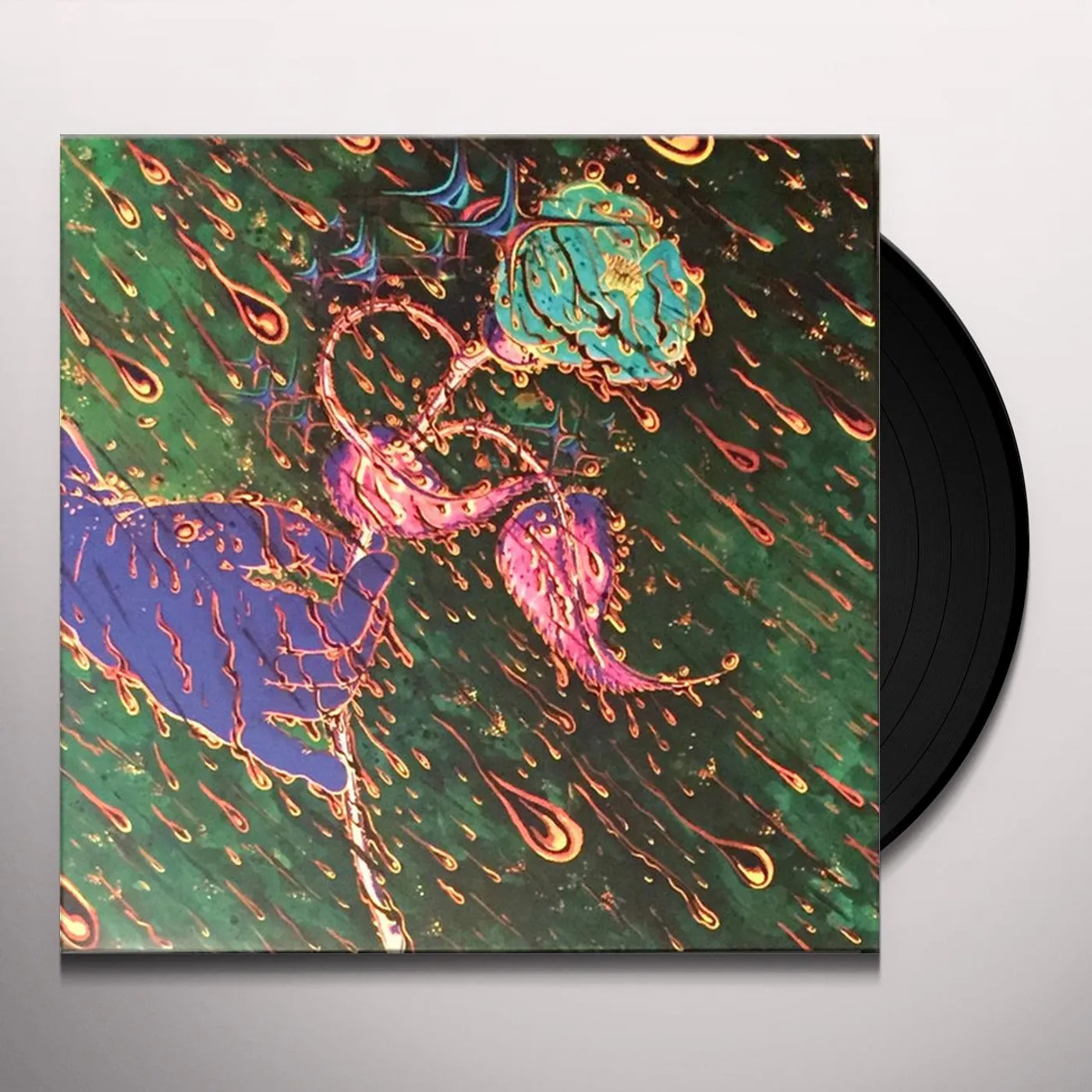 Grave Flowers Bongo Band Strength of Spring Vinyl Record