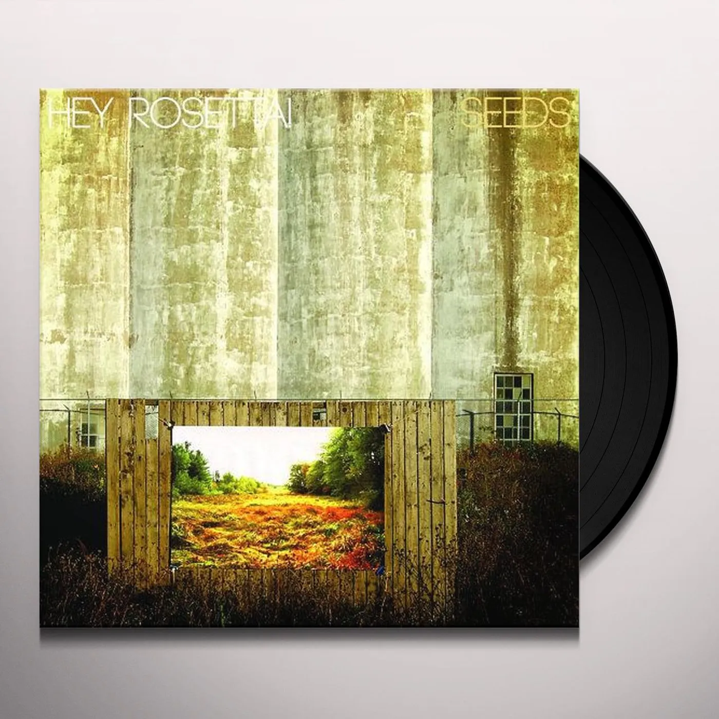 Hey Rosetta! SEEDS CD