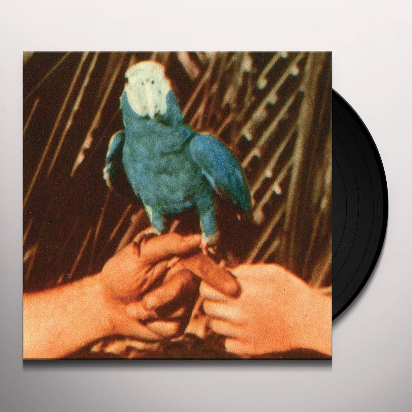Andrew Bird Are You Serious Vinyl Record