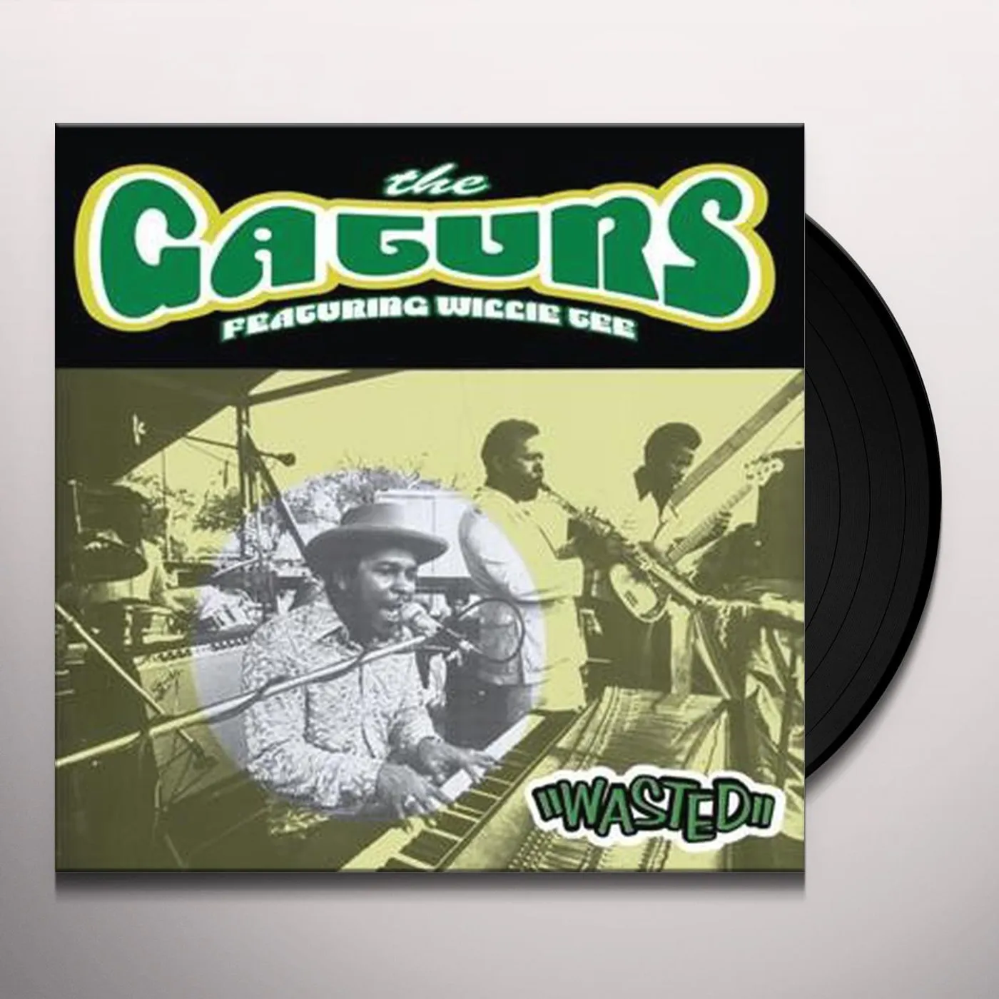 The Gaturs Wasted Vinyl Record