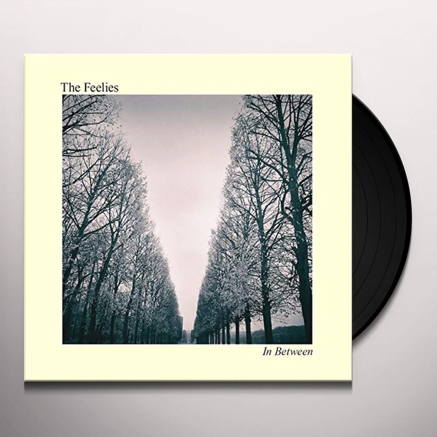 The Feelies IN BETWEEN Vinyl Record