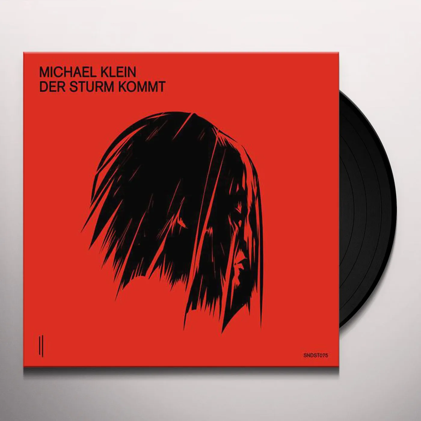 Michael Klein Der Sturm kommt Vinyl Record
