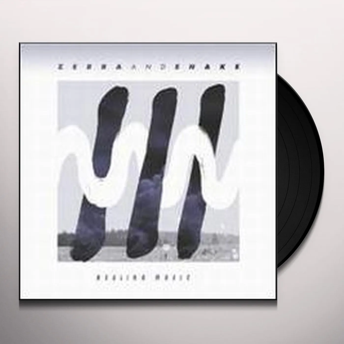 Zebra & Snake HEALING MUSIC Vinyl Record