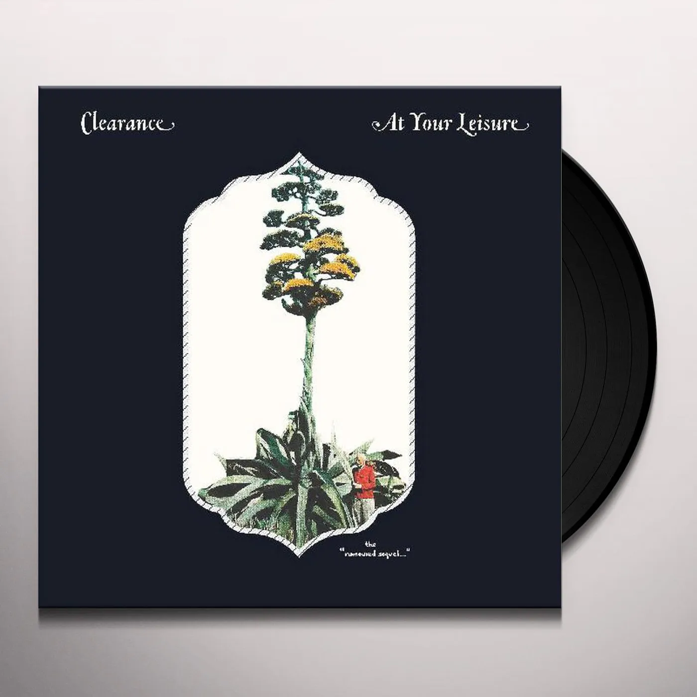 Clearance At Your Leisure Vinyl Record