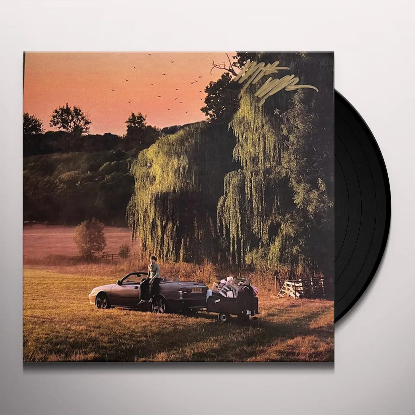 Matt Maltese Driving Just To Drive (140g) Vinyl Record