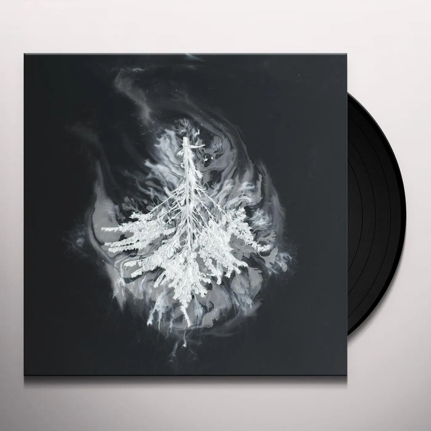 Seabuckthorn Turns Vinyl Record