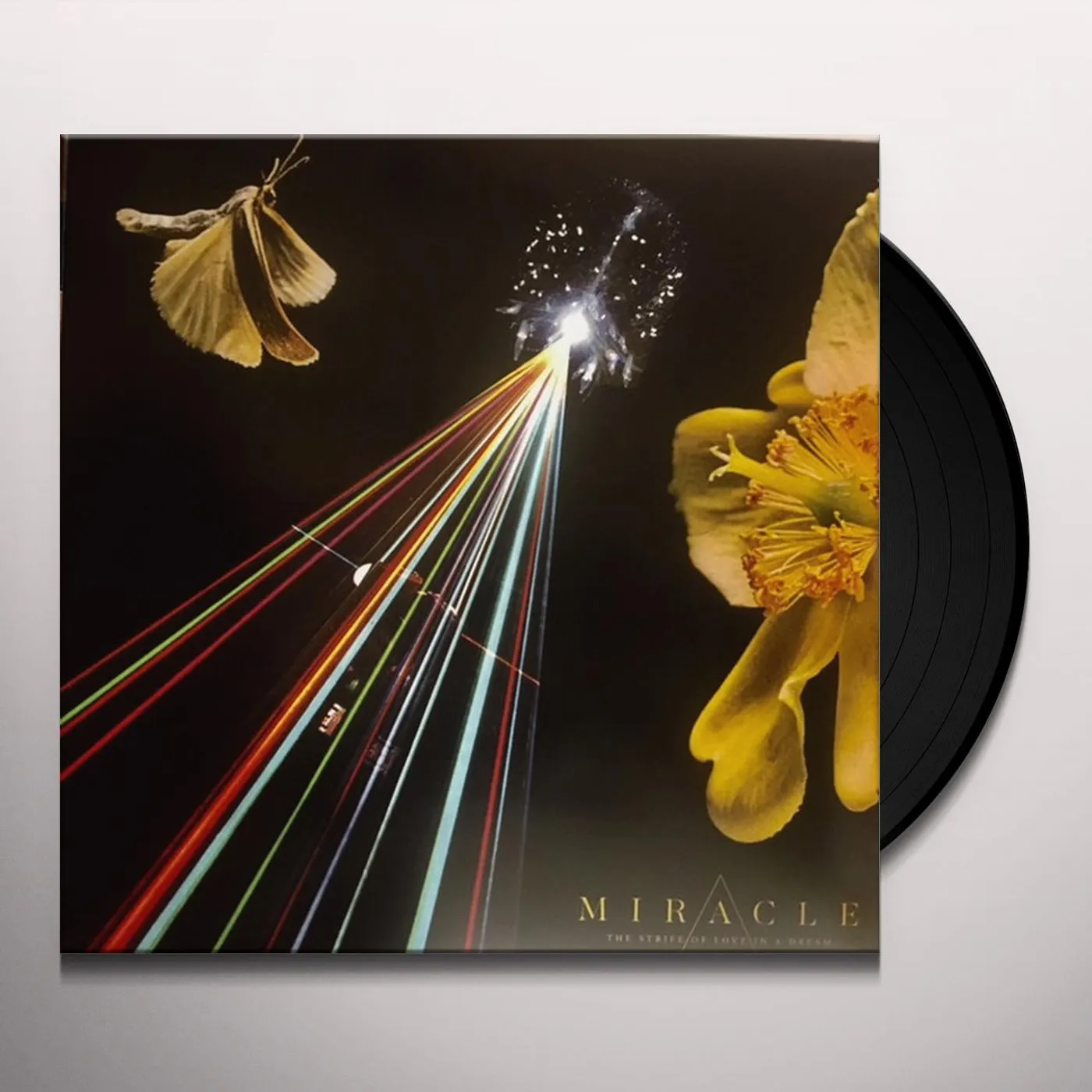 Miracle STRIFE OF LOVE IN A DREAM Vinyl Record