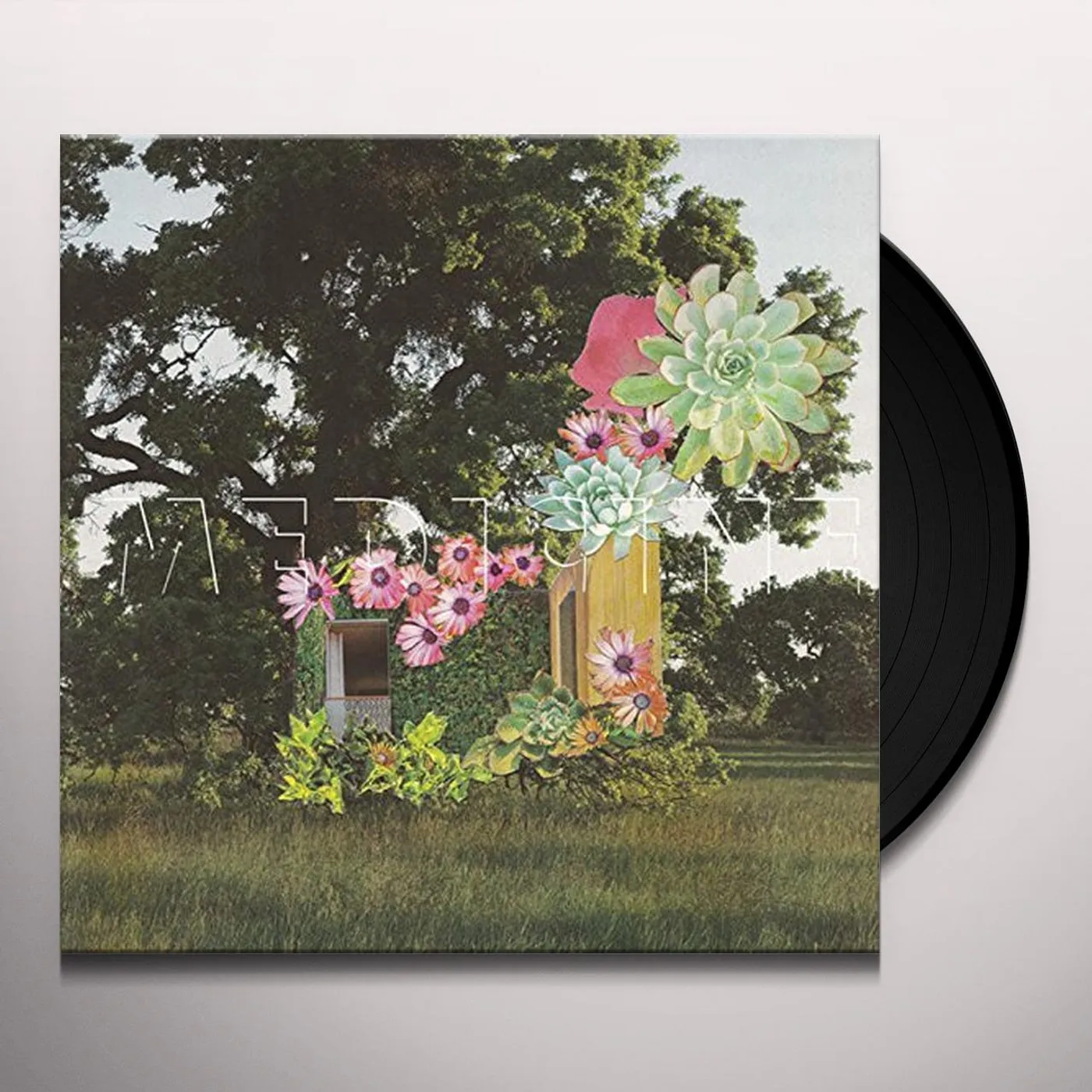 Medicine Home Everywhere Vinyl Record