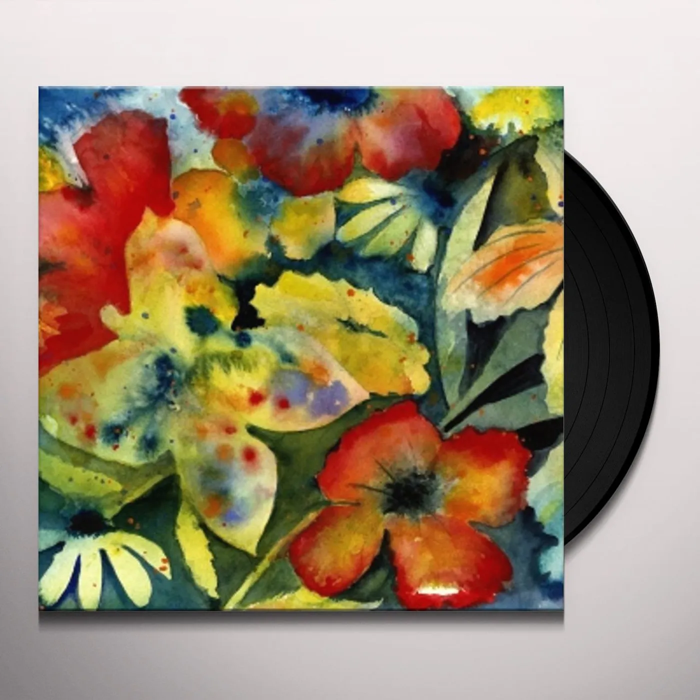 Adrianne Lenker SONGS & INSTRUMENTALS Vinyl Record