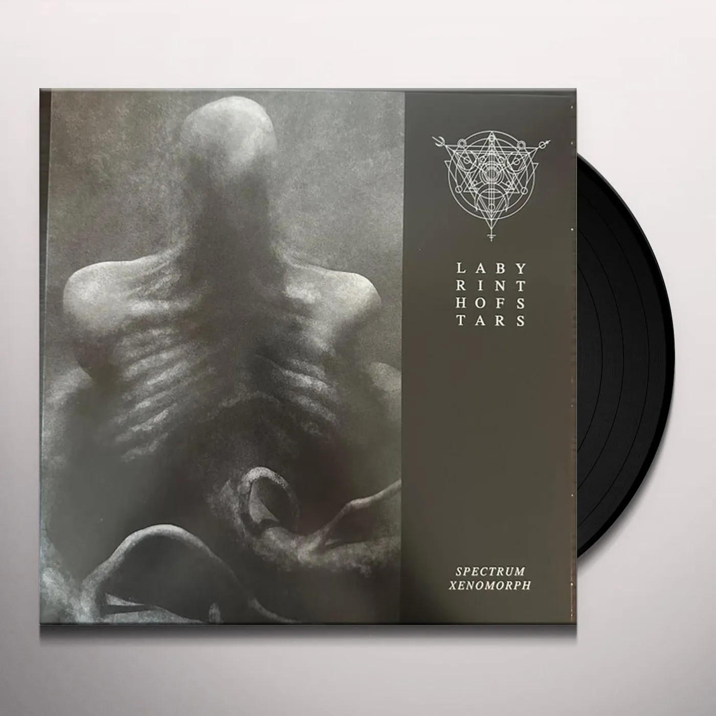 Labyrinth of Stars SPECTRUM XENOMORPH (GREEN VINYL) Vinyl Record