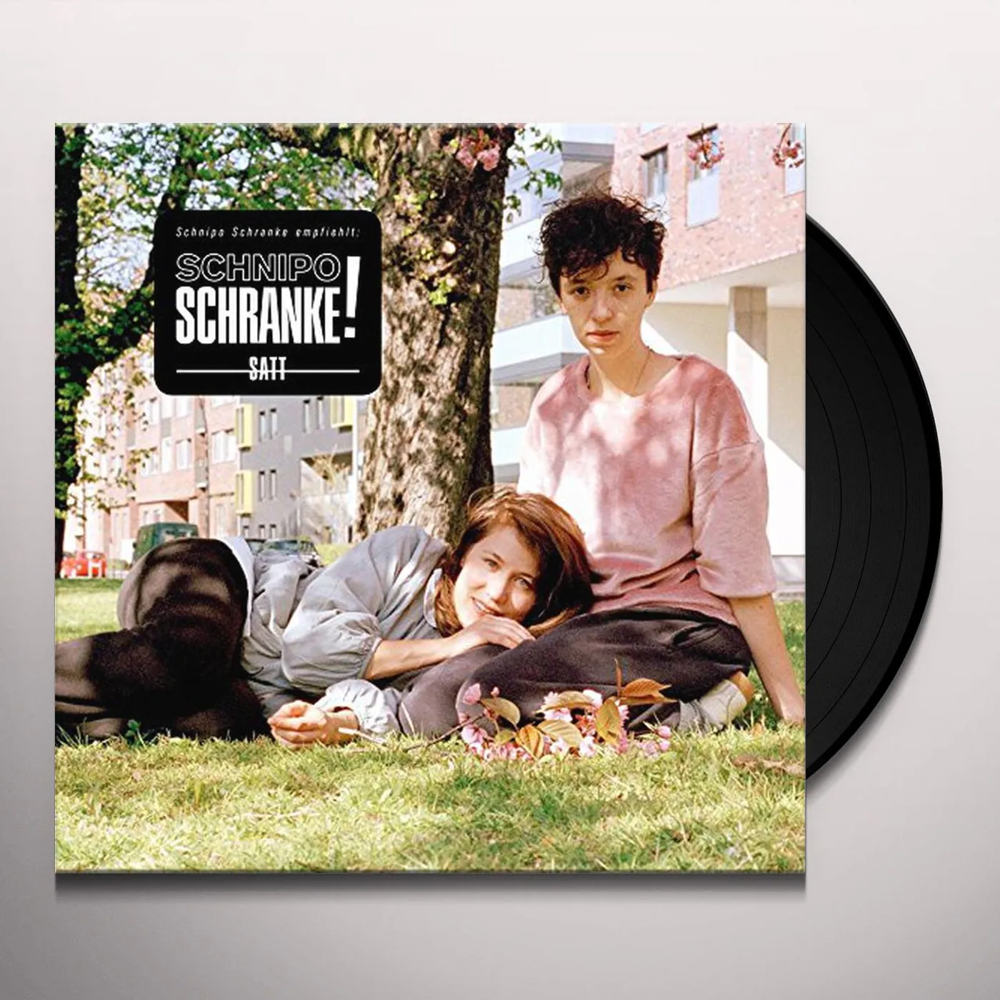 Schnipo Schranke Satt Vinyl Record
