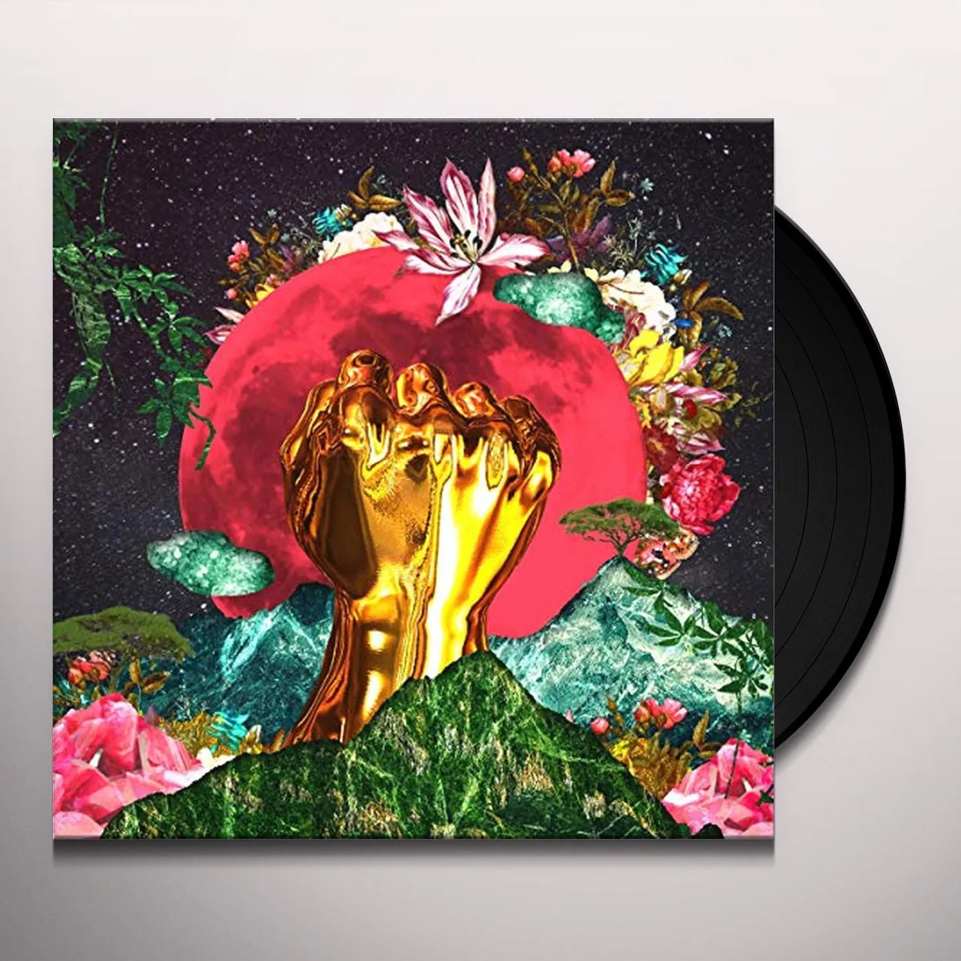 Rina Mushonga In a Galaxy Vinyl Record