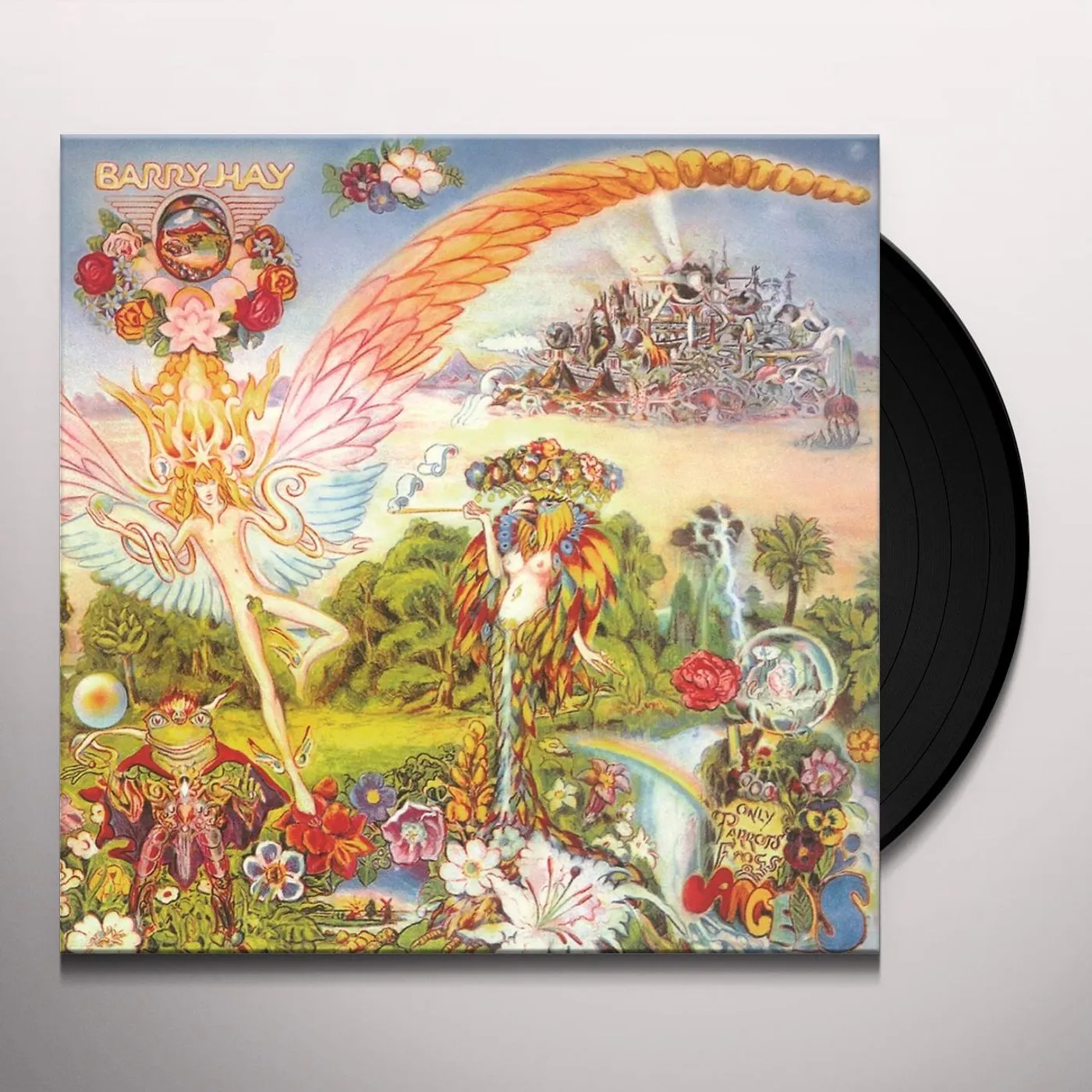 Barry Hay ONLY PARROTS FROGS & ANGELS Vinyl Record