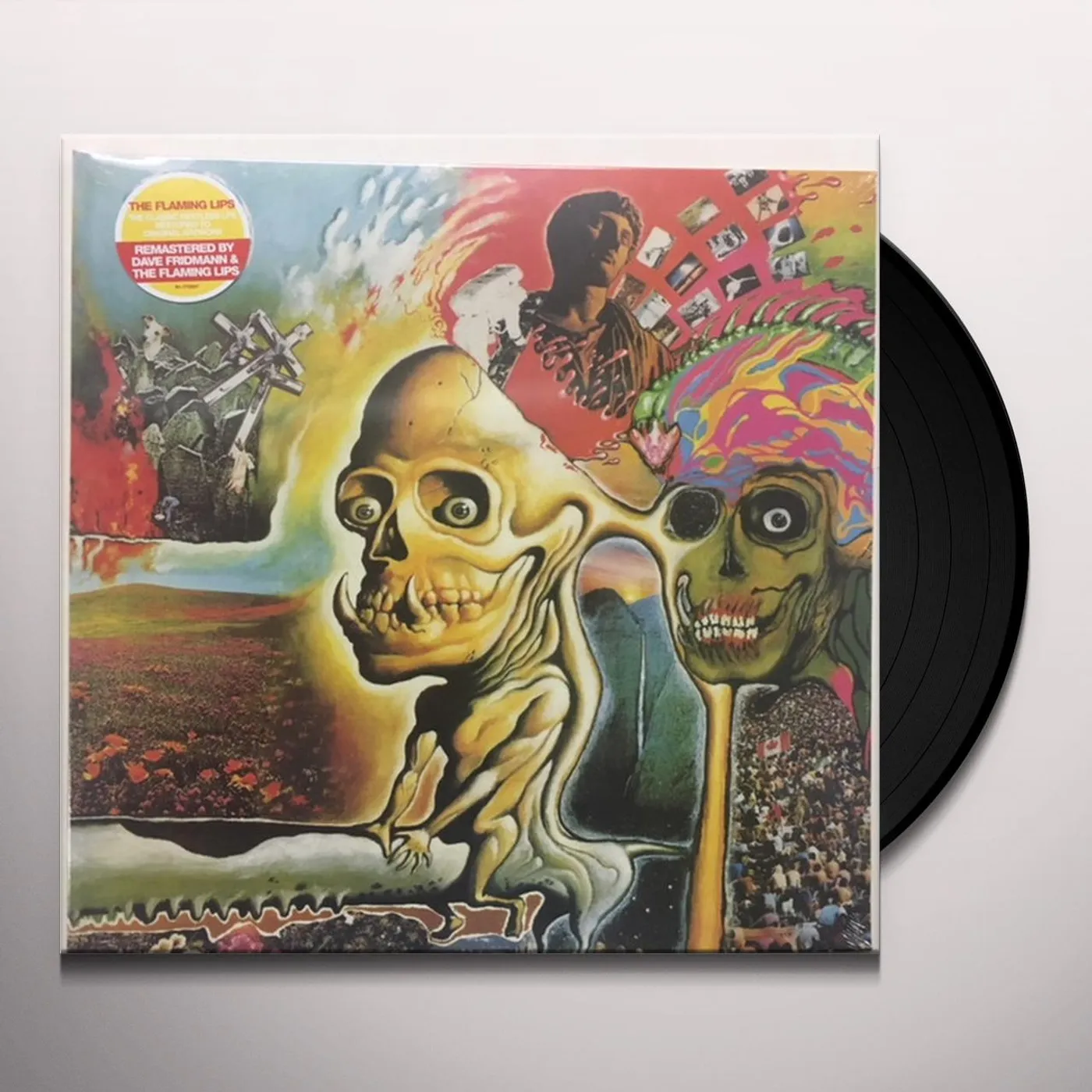 OH MY GAWD... THE FLAMING LIPS Vinyl Record