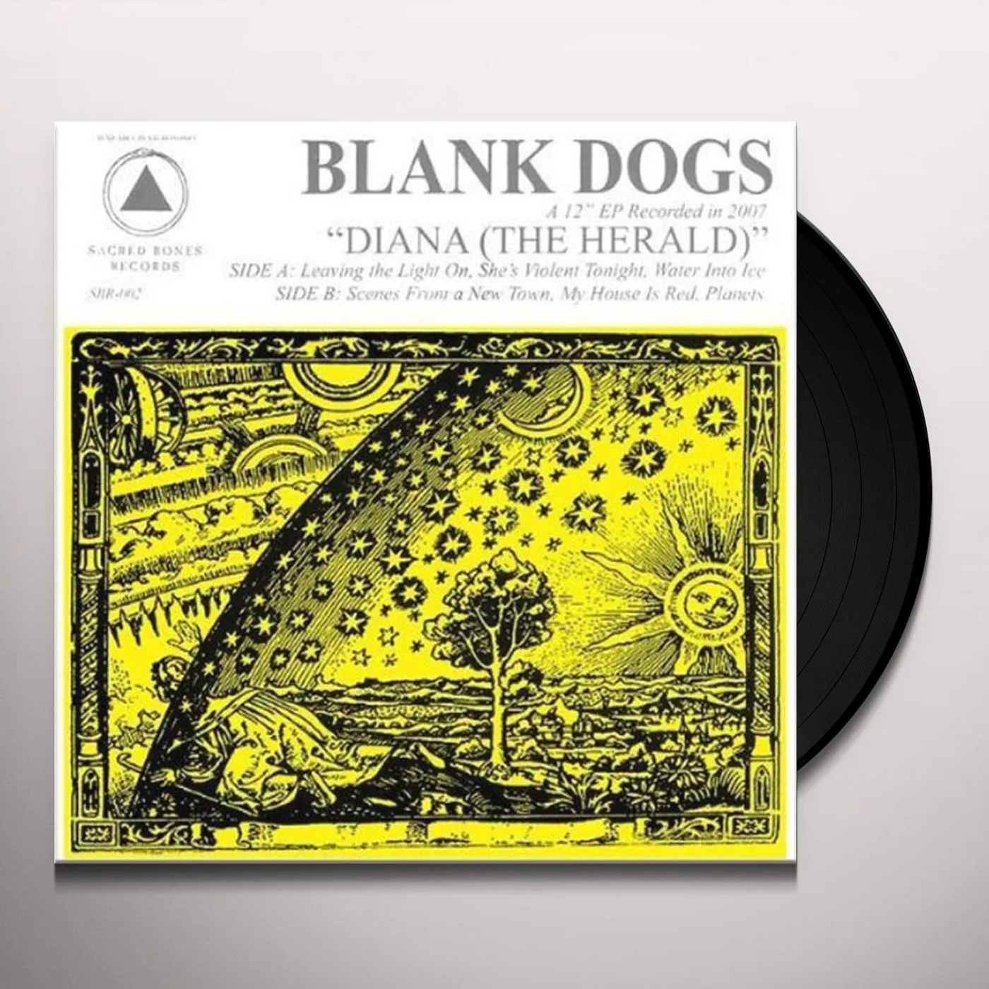 Blank Dogs DIANA: THE HERALD Vinyl Record
