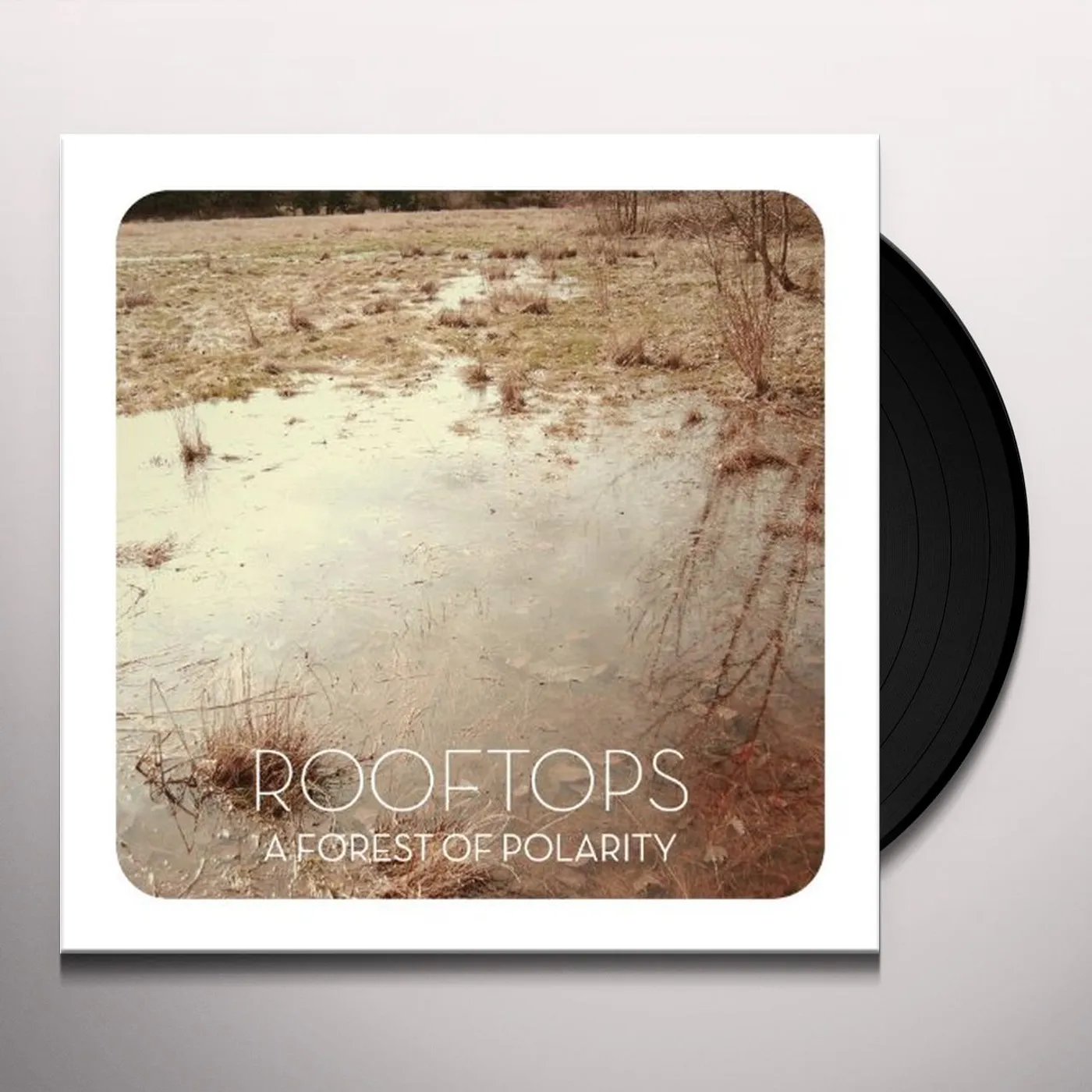 Rooftops A Forest Of Polaris Vinyl Record