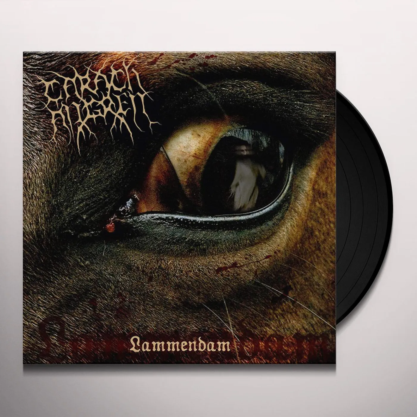 Crippled Black Phoenix Lammendam Vinyl Record