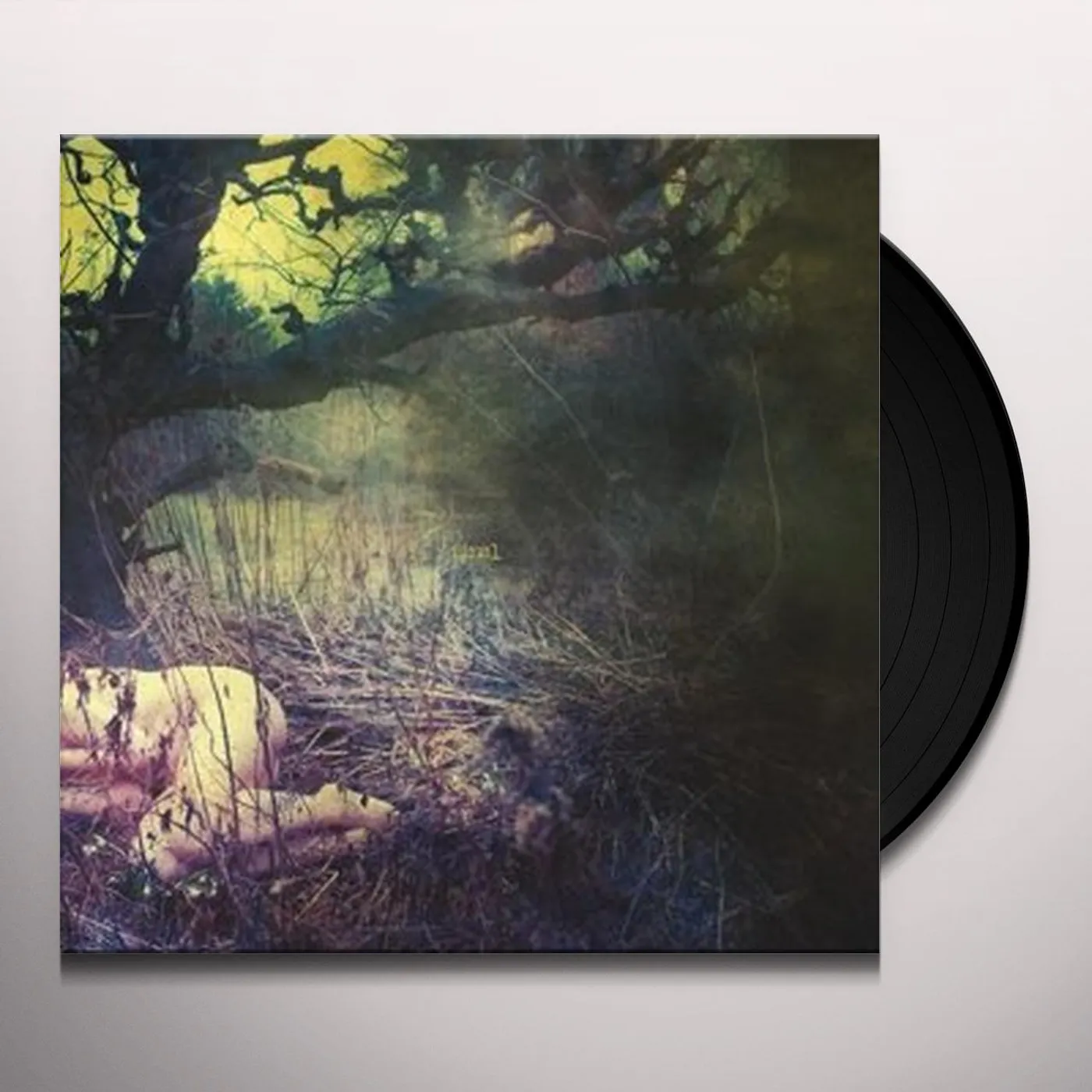 Final APPLE NEVER FALLS FAR Vinyl Record