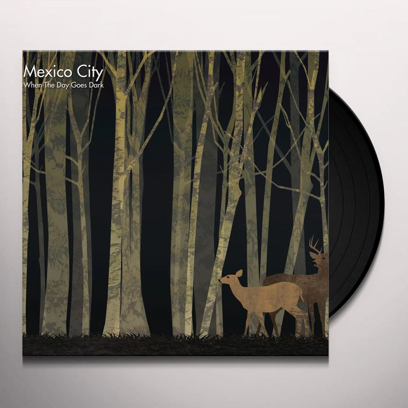 Mexico City When The Day Goes Dark Vinyl Record