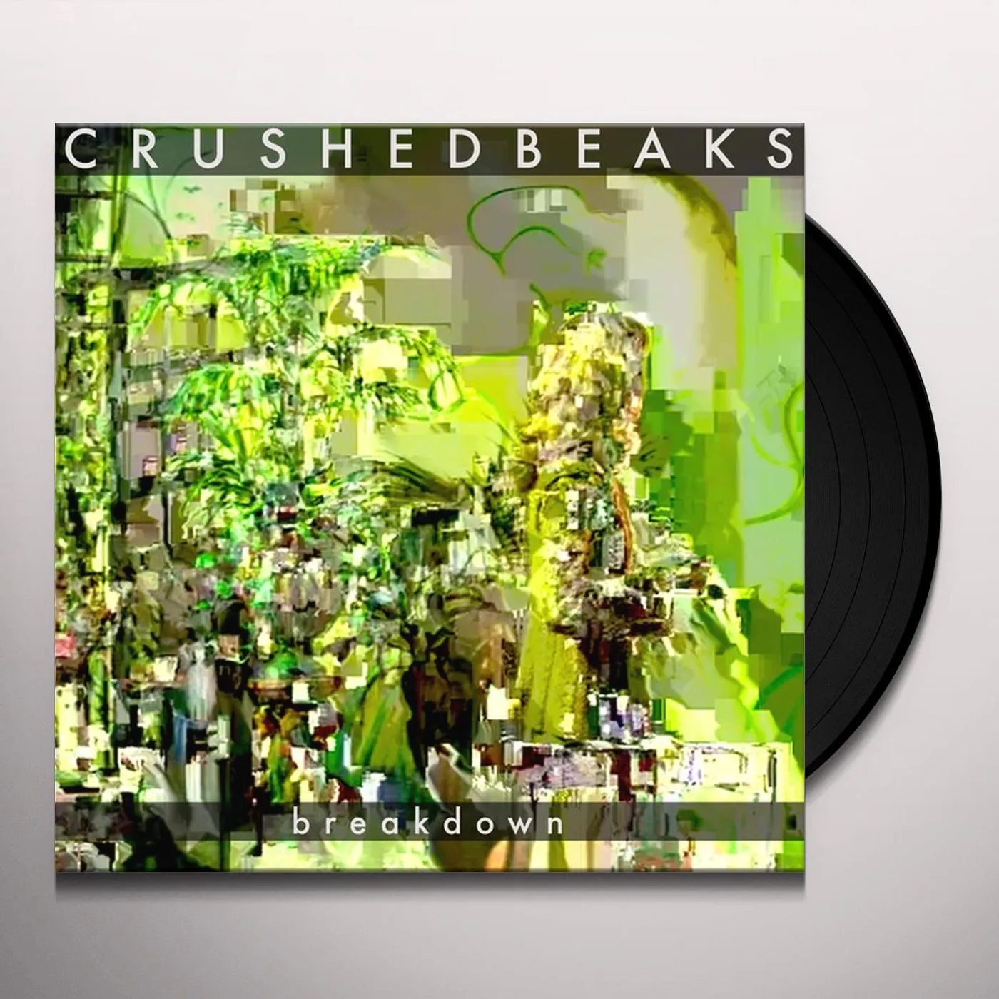 Crushed Beaks Breakdown Vinyl Record
