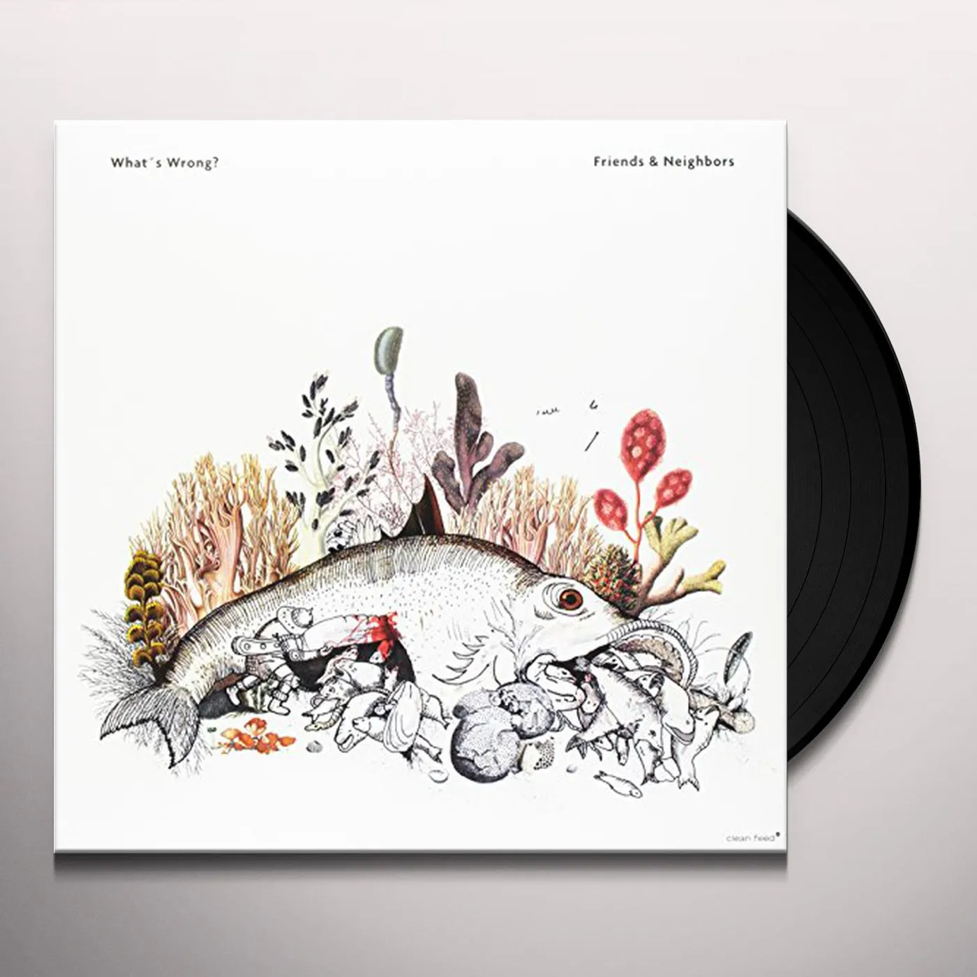 Friends & Neighbors What's Wrong? Vinyl Record