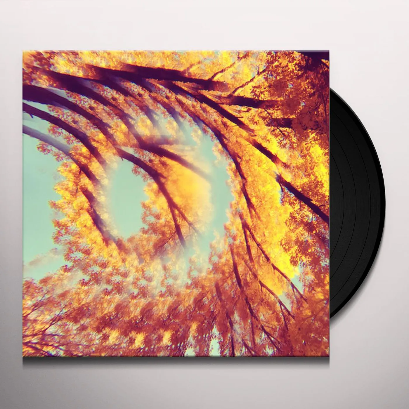 A Hawk And A Hacksaw Forest Bathing Vinyl Record