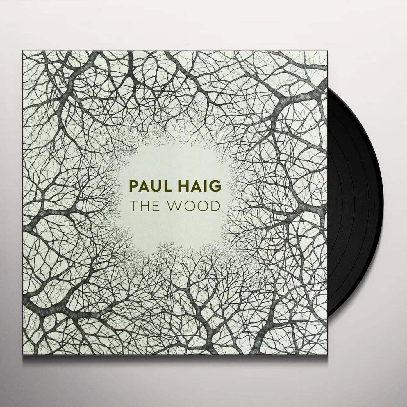 Paul Haig The Wood Vinyl Record
