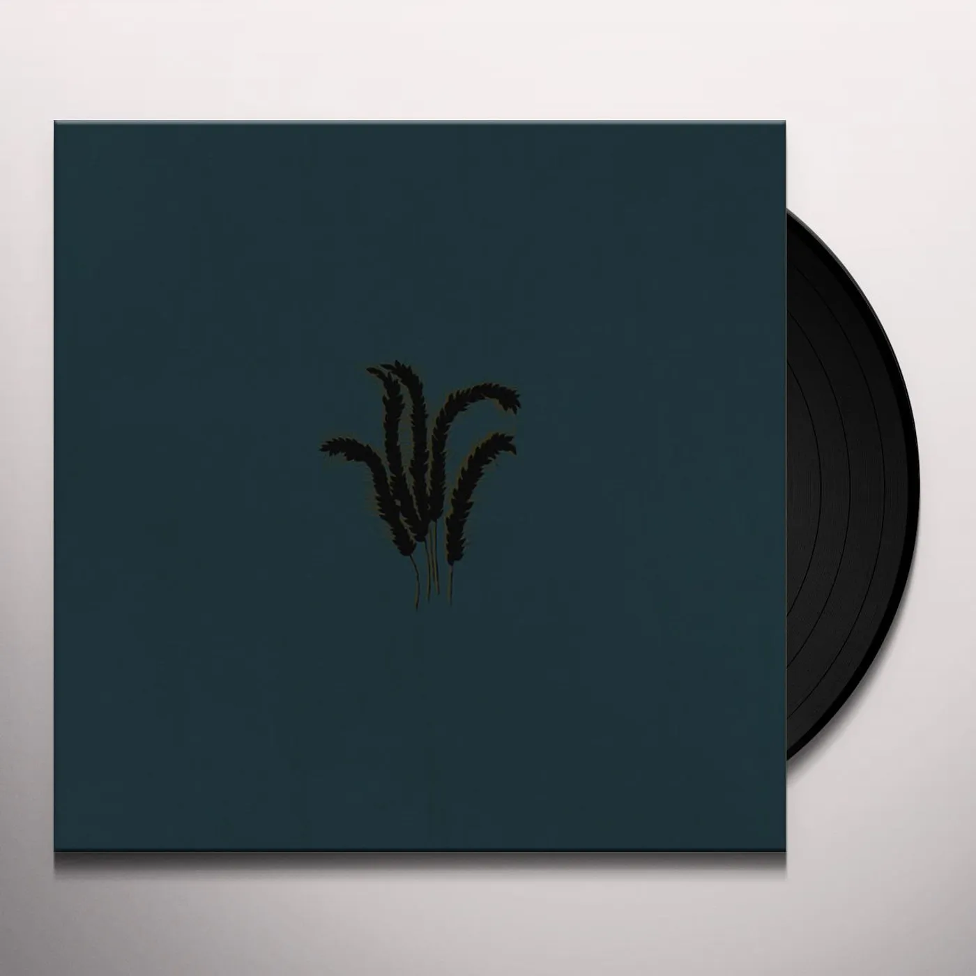 Whimm STARE AJAR Vinyl Record
