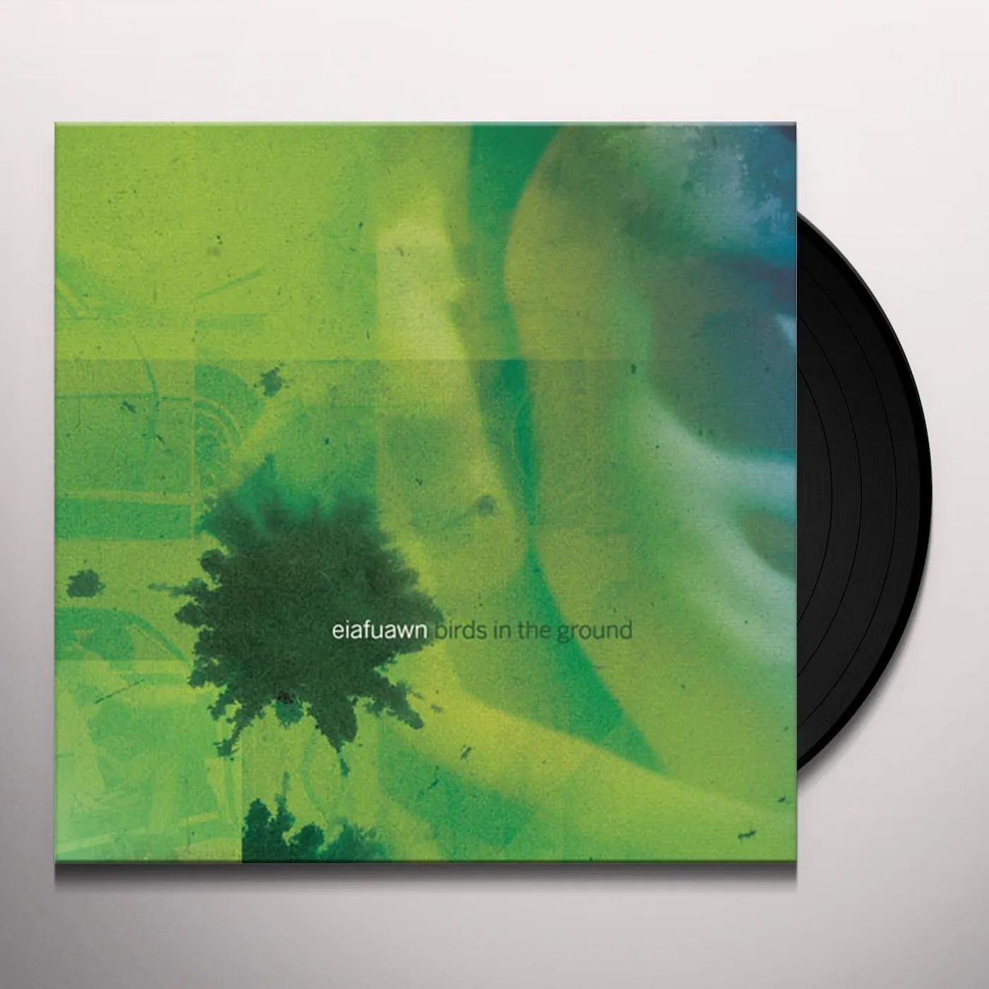 Eiafuawn Birds In The Ground Vinyl Record