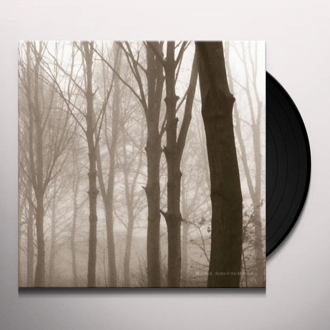 Blueneck Scars of the Midwest Vinyl Record