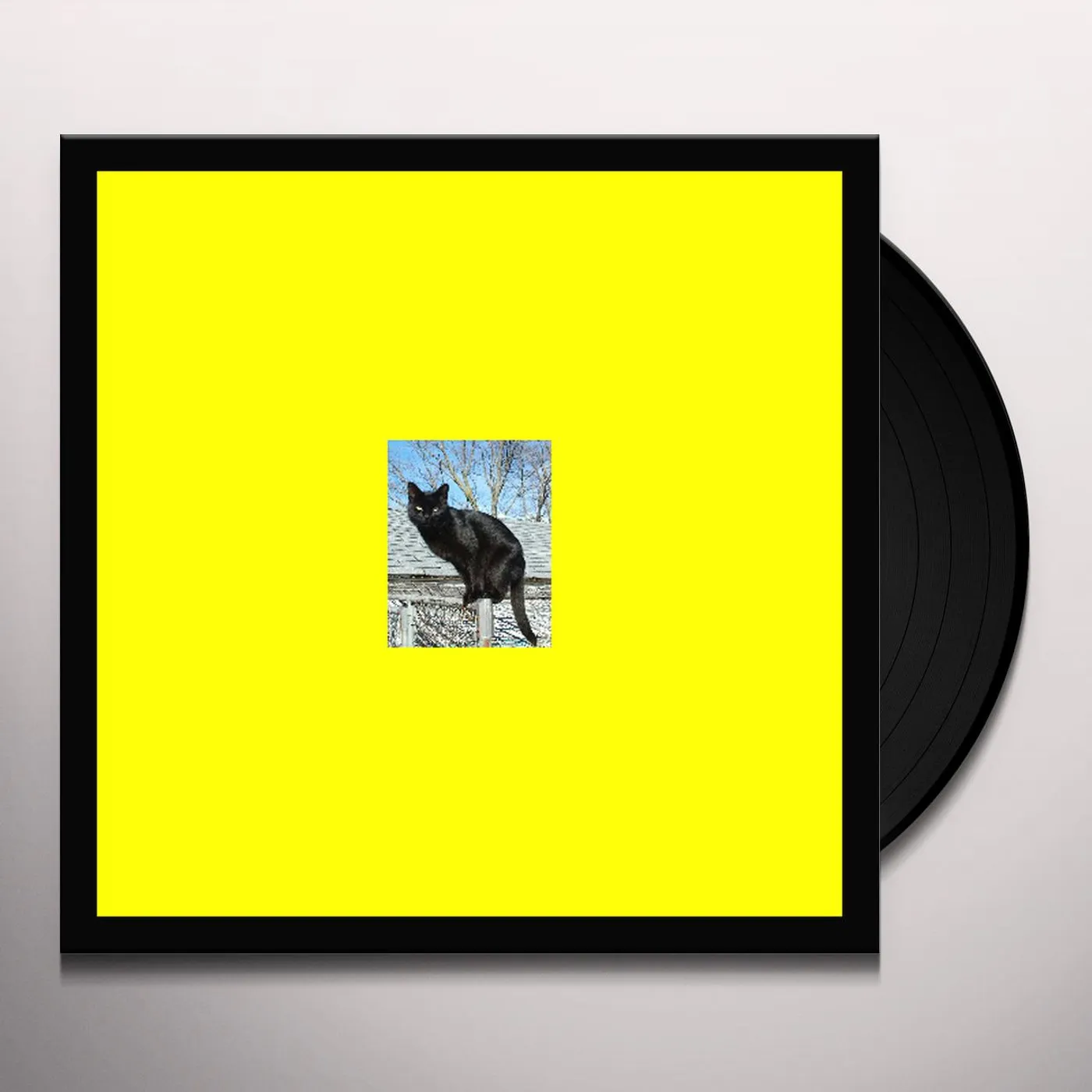 Pitto PANTHERS ON THE ROOF Vinyl Record