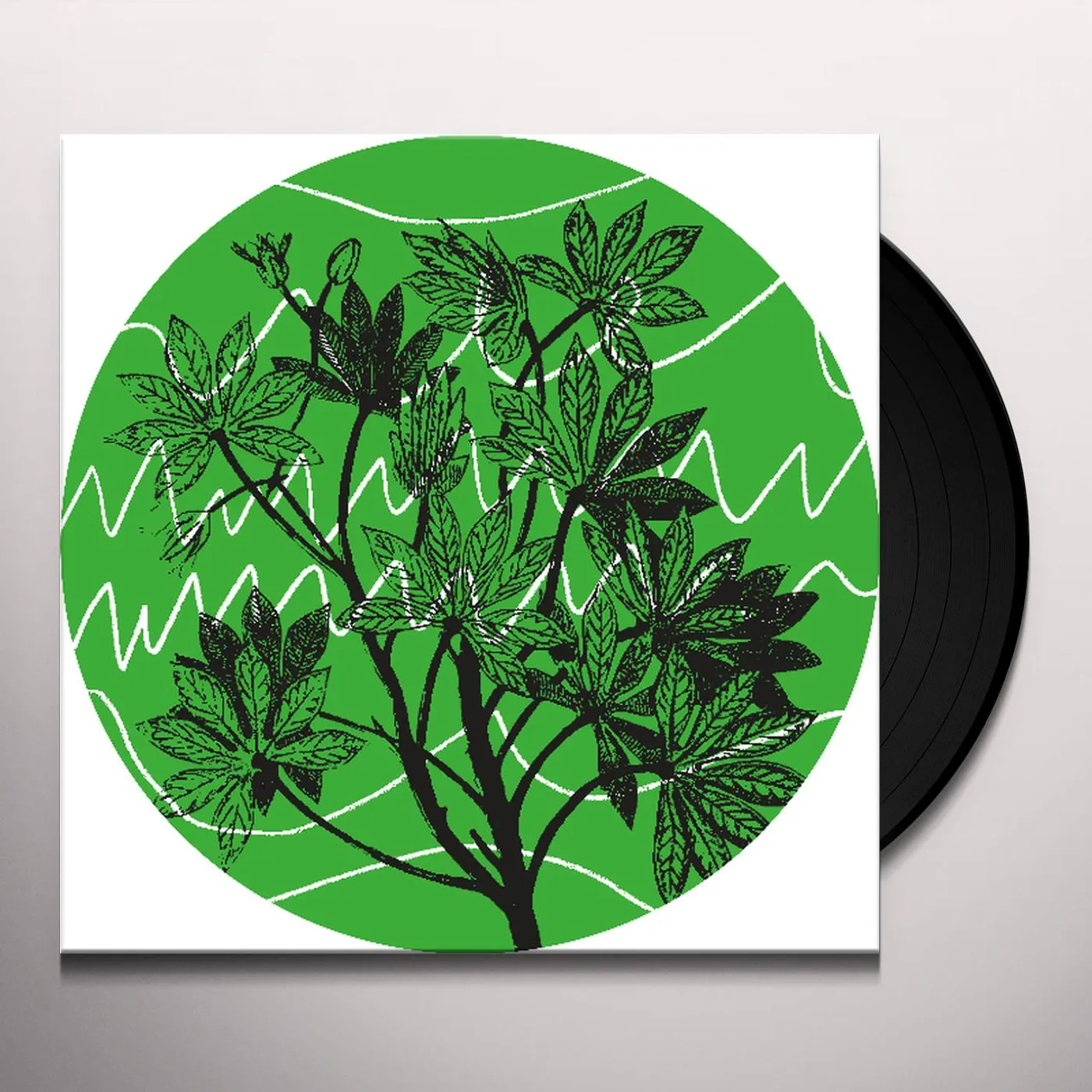 Auntie Flo Brasil Novas Frequencias Vinyl Record