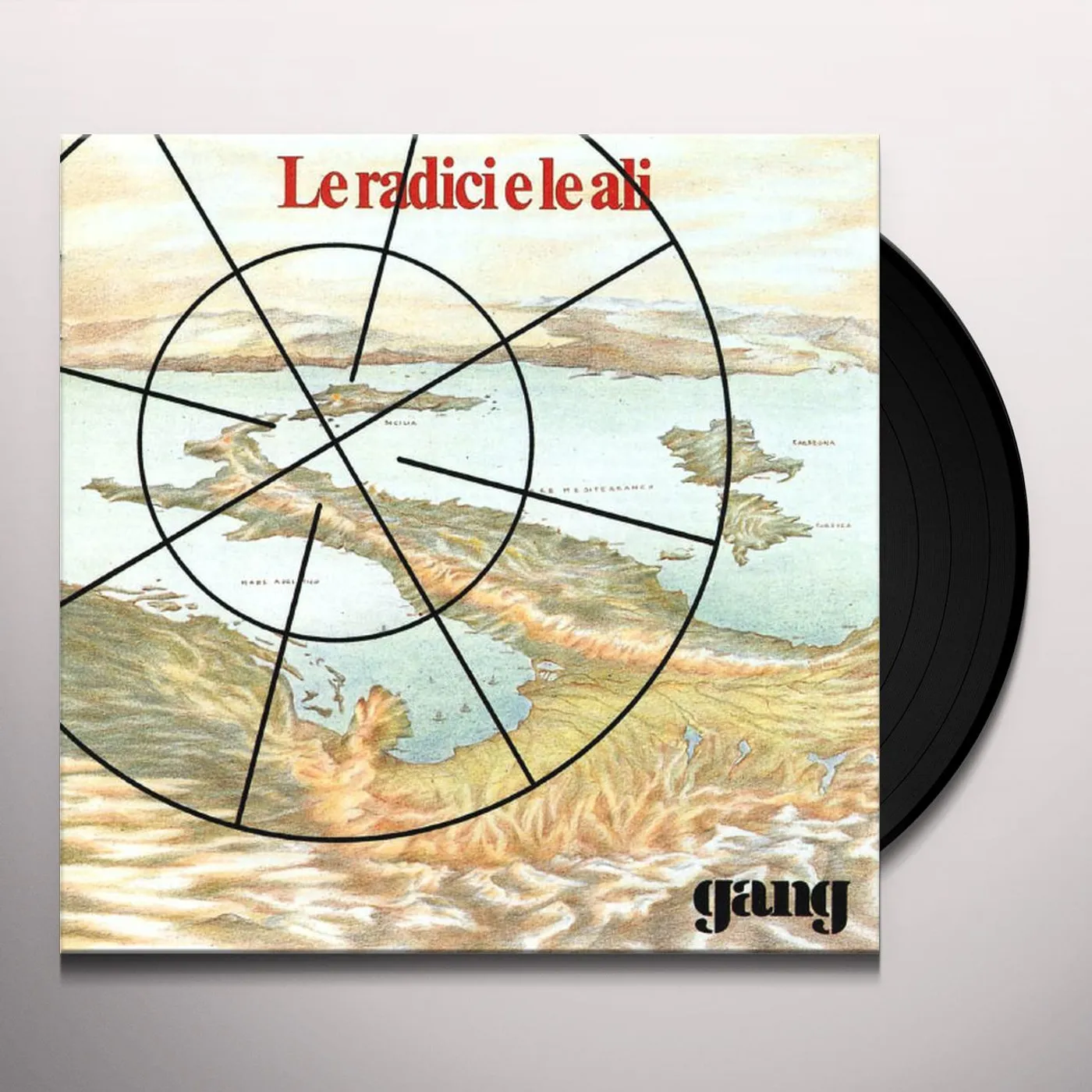 Gang Le Radici E Le Ali Vinyl Record