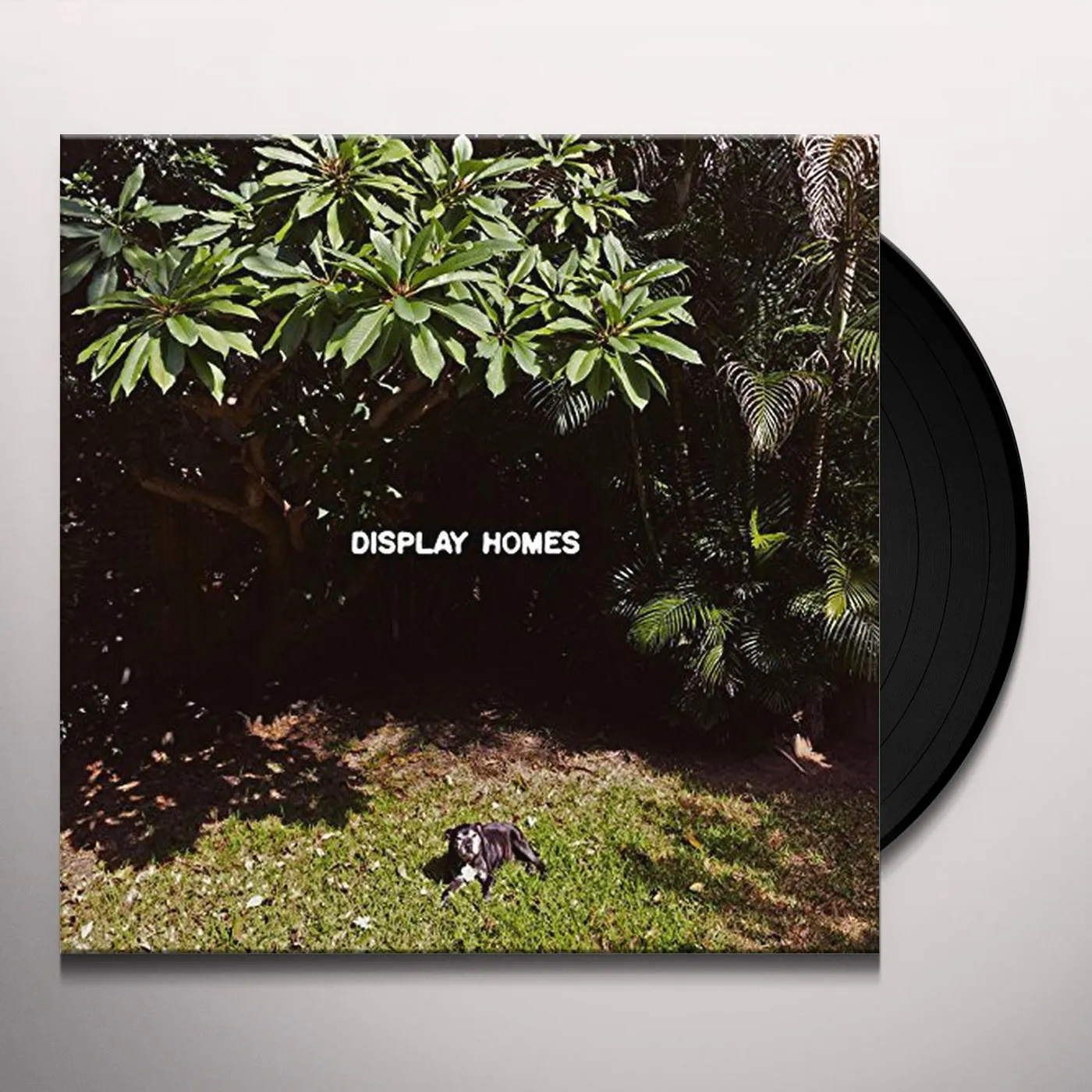 Display Homes Climate Change Vinyl Record