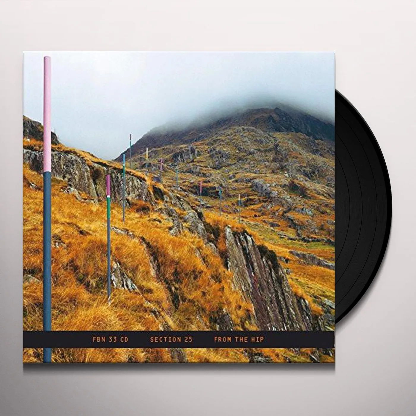 Section 25 FROM THE HIP (DELUXE EDITION) Vinyl Record