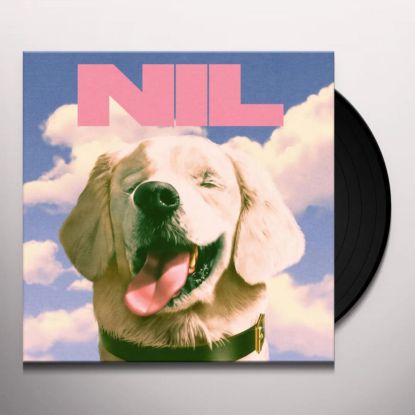 The Dirty Nil FUCK ART Vinyl Record