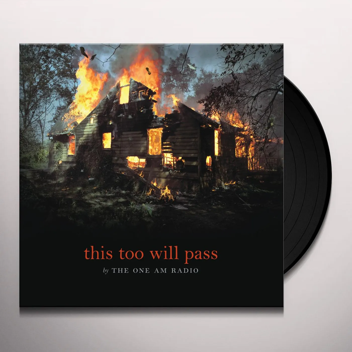 The One AM Radio This Too Will Pass Vinyl Record