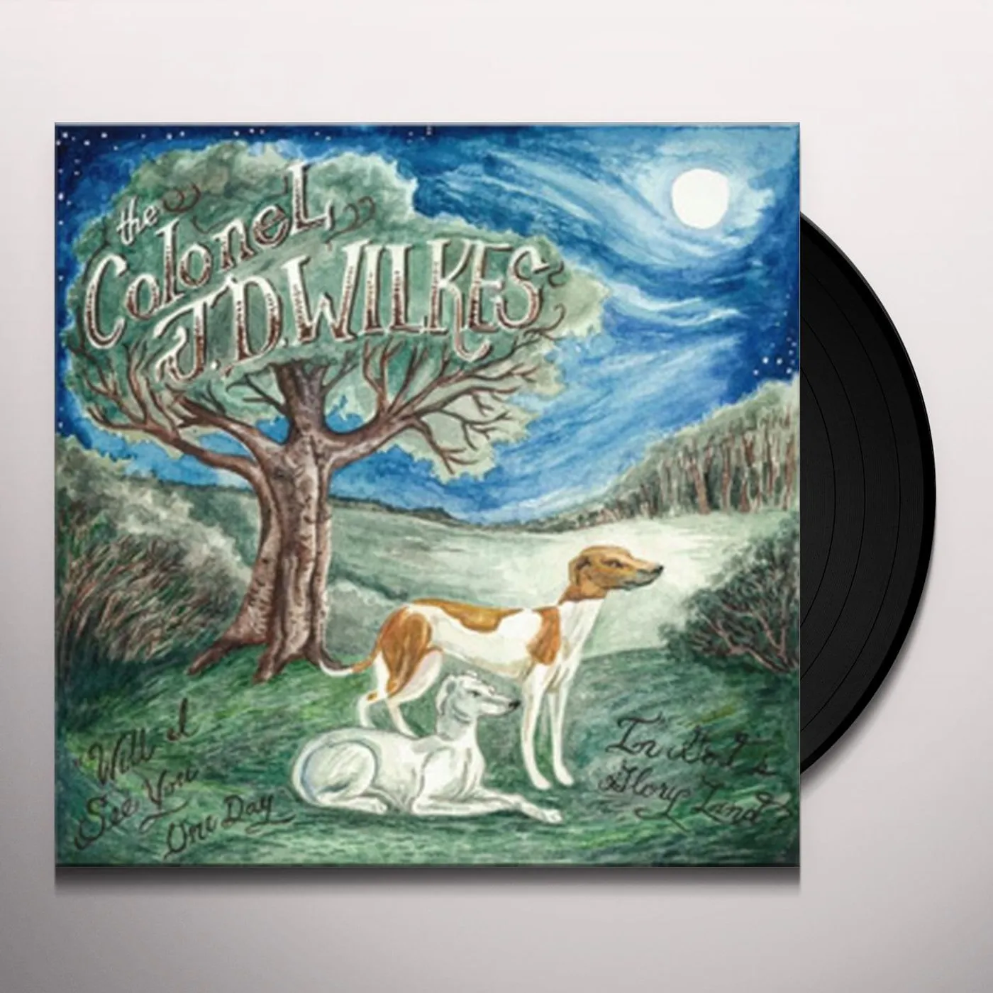 Col Jd Wilkes  WILL I SEE YOU AGAIN IN GOD'S GLORY LAND? Vinyl Record