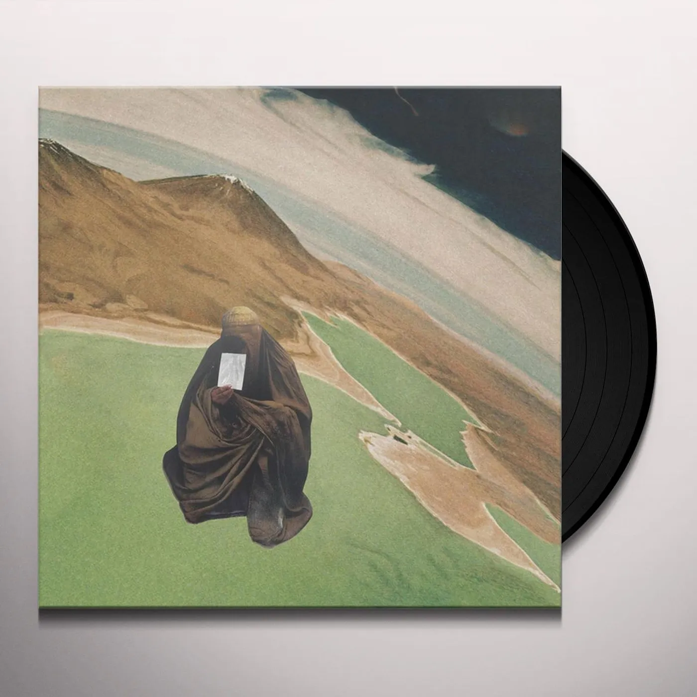 RNIE Citrus Vinyl Record